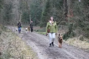 4175c46c-c8f1-49fd-848a-0fbbf7abb30d