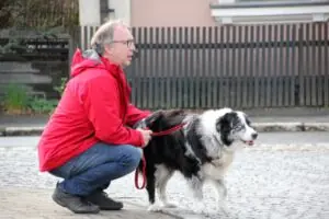 4394c9cb-70c5-4e69-9588-f9617bf705ed