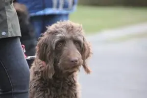 44c91b08-144a-4df9-b1c9-2d19750b64db