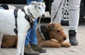 47b588a2-04c8-4298-ae9b-5d01e1147bdb