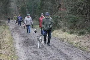 48da93bb-61a8-4552-b86b-1f36eb77e33e