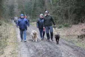 49ea21ca-6288-4234-9599-fddea33b5995