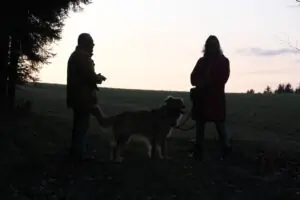 4be8790e-e972-4fbb-ade3-21cadc8e7484