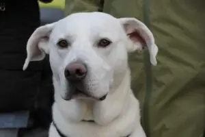 598cf5b3-f386-48d8-adf3-624245ecc13c