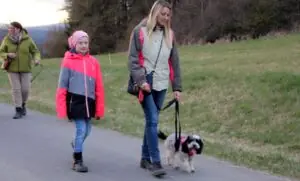 5ae8f327-9730-474c-9328-0918f6e093da