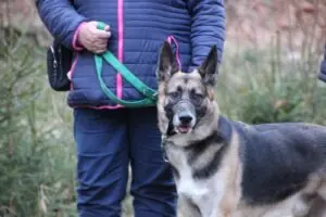 5c5797d9-f26a-4792-8488-b8d3a1b26d5f