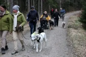 658e4a39-def9-42e3-8062-221ef4040ea9