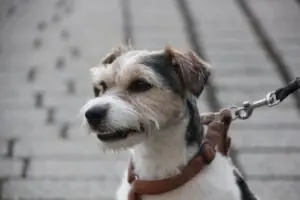 6902e15a-bc7b-4cd0-ab85-e3c8fd01251e