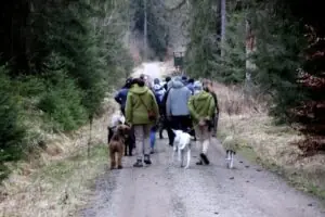 6a6418bf-5304-49af-9a7a-631b7afb9366