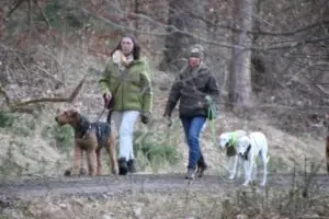 6f04da87-df44-4bec-a7a1-10e843dc4d70