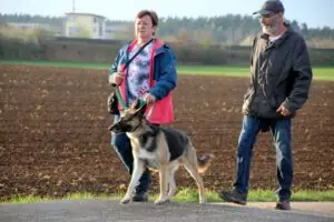 73229849-9f77-4bfd-a60e-991b1b6ee327