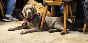 736f32dc-5ceb-46a4-ac12-0194db785405