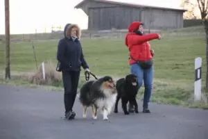 79c21213-760f-4a33-8f31-68a45f3692ed