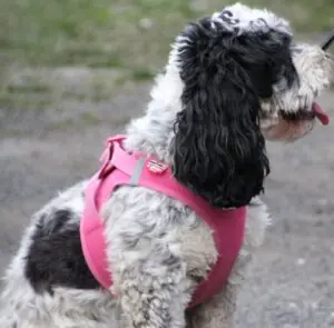 7df245b0-5462-48ac-bba6-0ce6994986e0