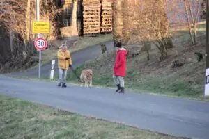 7e939ce0-bc09-4a61-8617-12f0a103cd98