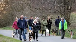 82da5410-d4cf-416e-8675-165ff6cd651c