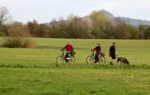 849ea4e0-1e45-4cf5-9aa8-843f31aa140d