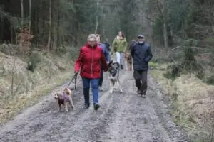 84d21609-fc8a-43d0-a993-db174030bb52