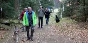 9022cfc4-7c6d-4dbf-8edc-94f0e2c23bb3