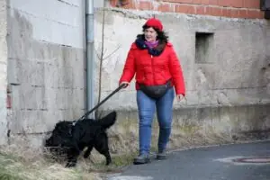 93be0628-7390-4161-85ae-b16a4184cd4b