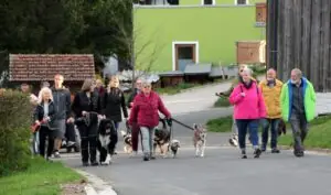 96757090-8c8b-4b30-a410-d8d458307b33