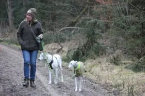 98a9dbe3-3132-4f77-be39-e0f237cb914c