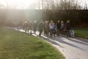 a133e26c-1d6f-473a-9d7f-d23d1e82e436