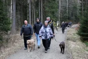 a3831c18-e0b1-4fa8-ae1b-ac6049c9203a