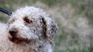 a9144672-3407-40d6-9ff3-8608c05e1b3a