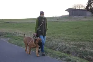 a98cf2f0-f75c-4243-a607-9e31aaa53f5f