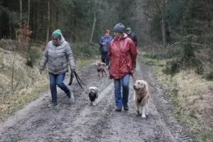 ac0d7c45-6f0a-48cc-b28d-57643c3d9081