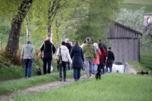 af7fe054-ea78-48f5-a492-ce1566e25b14