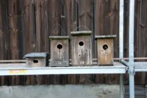 afdba986-f29c-4165-81d4-8e0b2ba4dddd