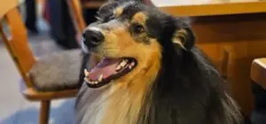 b222f95b-f413-4744-9cb5-1ef8ef9eb53e