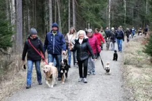 b2f62252-5cd4-45e0-8033-661faa7c66a8