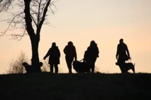 b4288ff0-0759-463d-8abd-53a999cb84bc