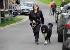 b6a6e1eb-5a14-4854-8fce-0f4bfdc351a0