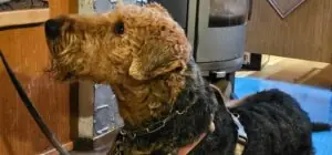 b6d80c41-d778-4c85-b28b-0df82fcfcfbf