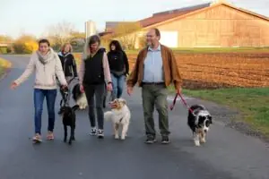 bac6c805-35c0-443d-9013-0885a858e3b5