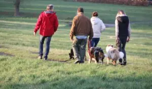 be4c7b37-4b02-46f0-b3f5-b6ee6d29b77a