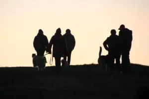 c04a6f7d-5b03-47dd-a41b-21385dc63ad9