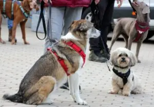 c4b3144d-193b-40f3-8e0d-8377e1d469c0