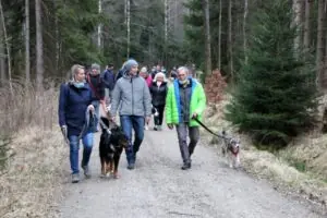 c546ffd8-9e56-43b1-8f4a-1c73c0fa799a