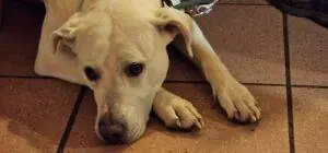 c7c59558-ea31-480d-bb09-ead402938fb8