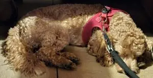 c9fbcbaa-e497-4aad-bfc5-8001eaea479b