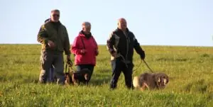 cec8c408-a4a9-40bc-8b7d-022c895dab09