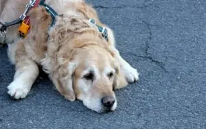 d112fe1d-5c4d-4377-a255-f3b3582e4d50