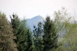 d6eddcb5-5a16-4266-ab2a-fe491e40f8a9