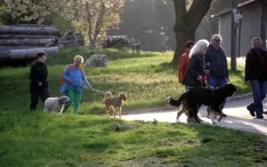 d8e84bf9-356f-4e16-b000-a6fdc9918377