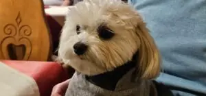 d9e17700-84de-4af6-91e7-c5aa2e33888c